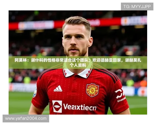 九游娱乐官方网站是赞助的不莱梅带来哪些合作优势与未来发展前景分析 九游娱乐官方网站是赞助的不莱梅带来哪些合作优势与未来发展前景分析